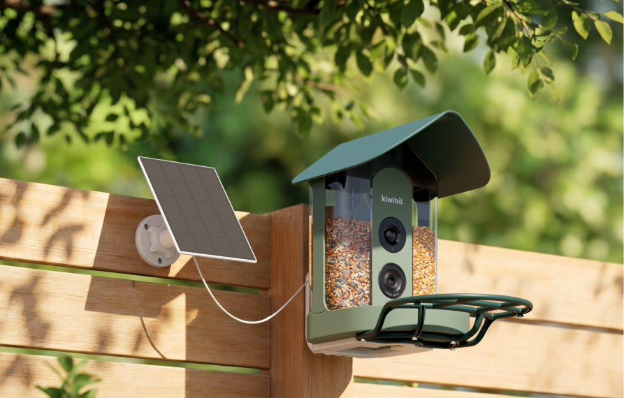 Kiwibit Bird Feeder 4K