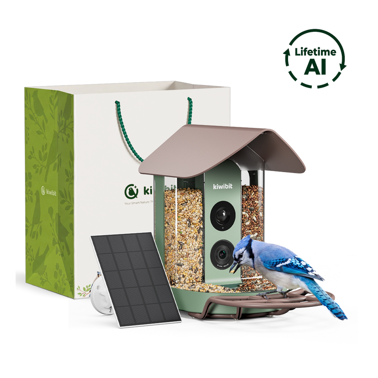 Kiwibit Bird Feeder Gift Kit (Lifetime AI Included)