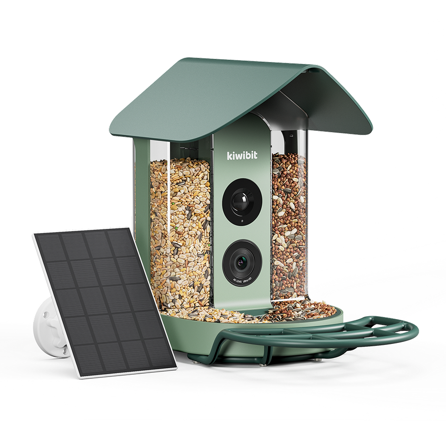 Kiwibit Bird Feeder