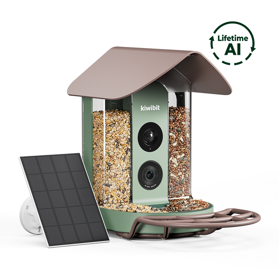 Kiwibit Bird Feeder (Lifetime AI Included)