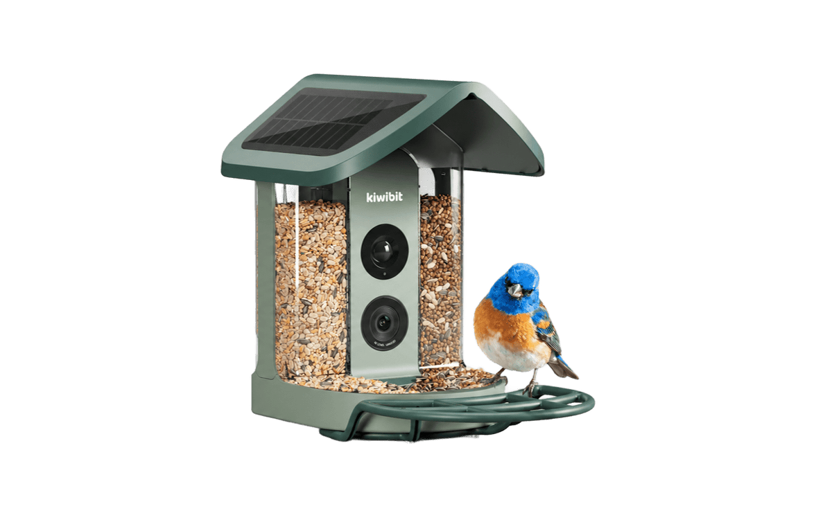 Kiwibit Bird Feeder 2