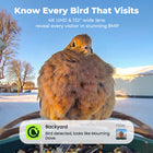 Kiwibit Bird Feeder 2 4K AI Camera with Solar Panel (Lifetime AI Included)