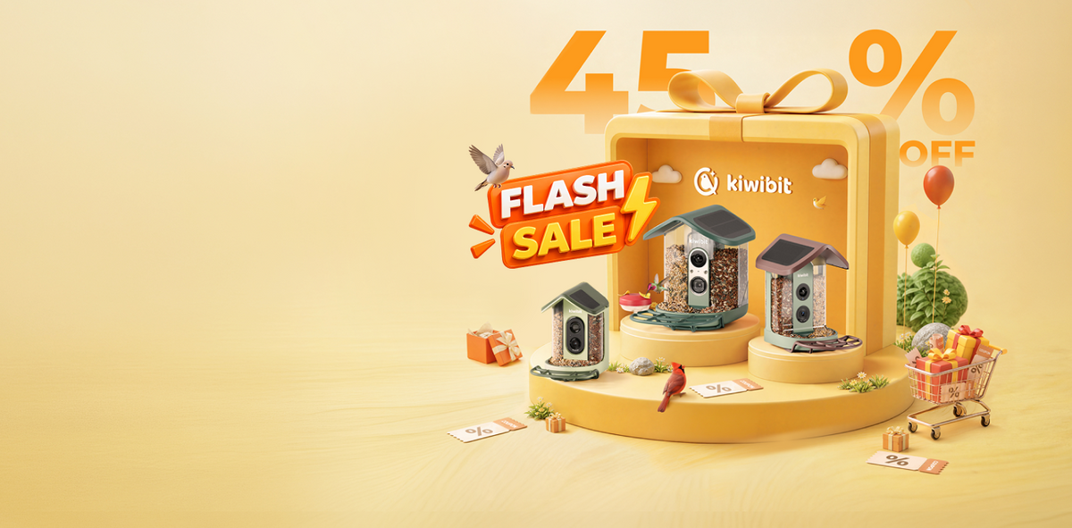 Up to 45% Off