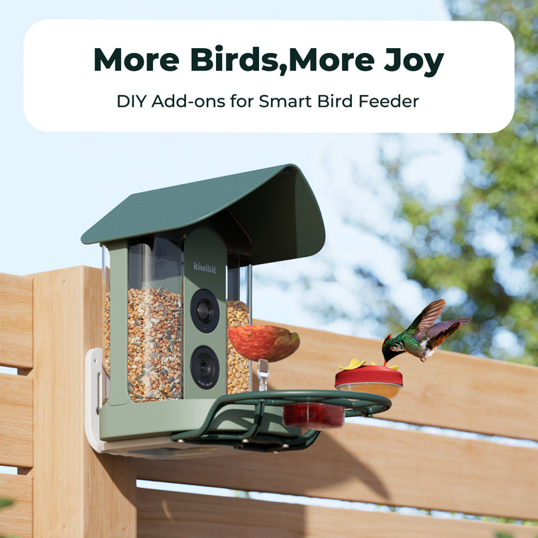 Kiwibit Smart Bird Feeder – Complete DIY Accessory Kit
