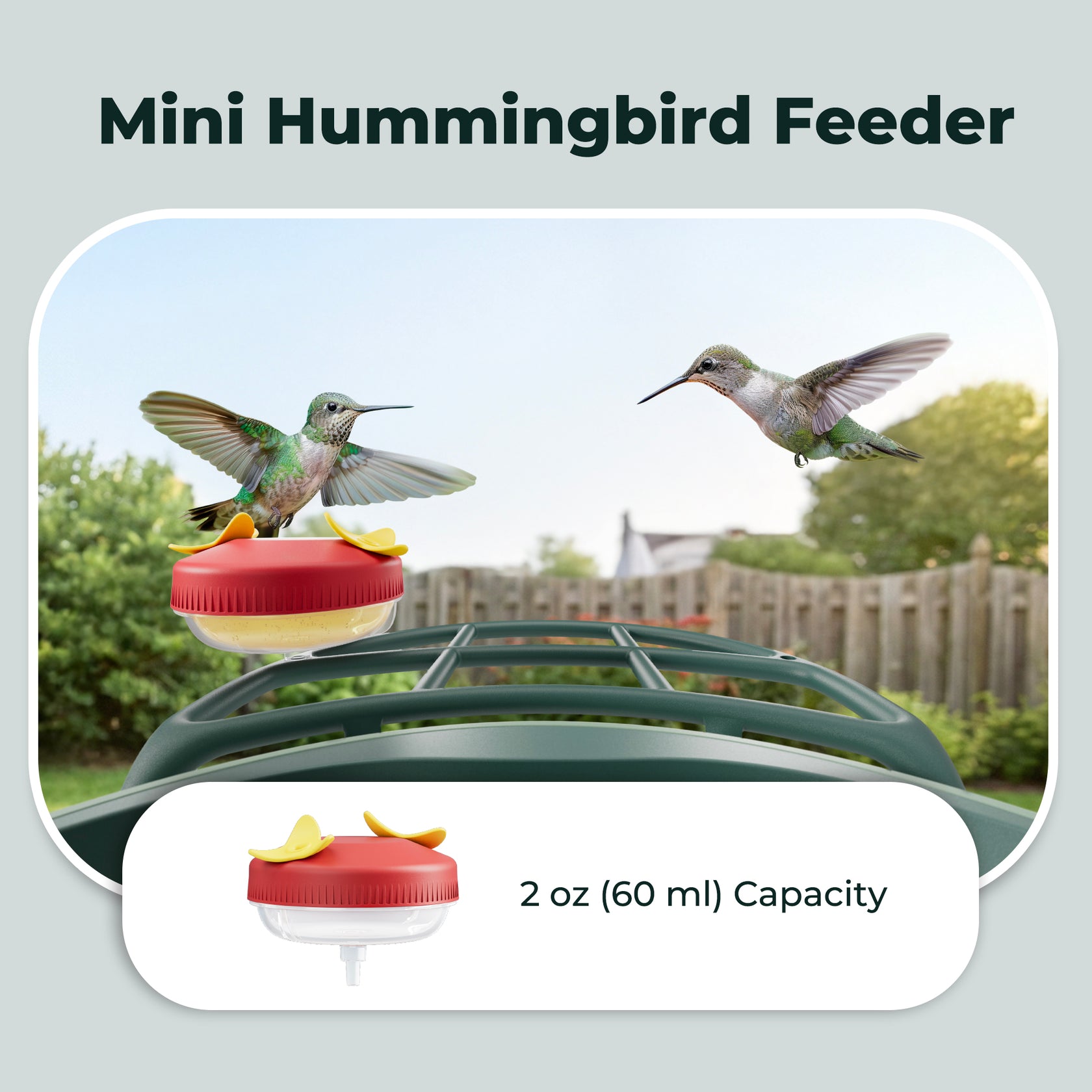 Kiwibit Smart Bird Feeder – Complete DIY Accessory Kit