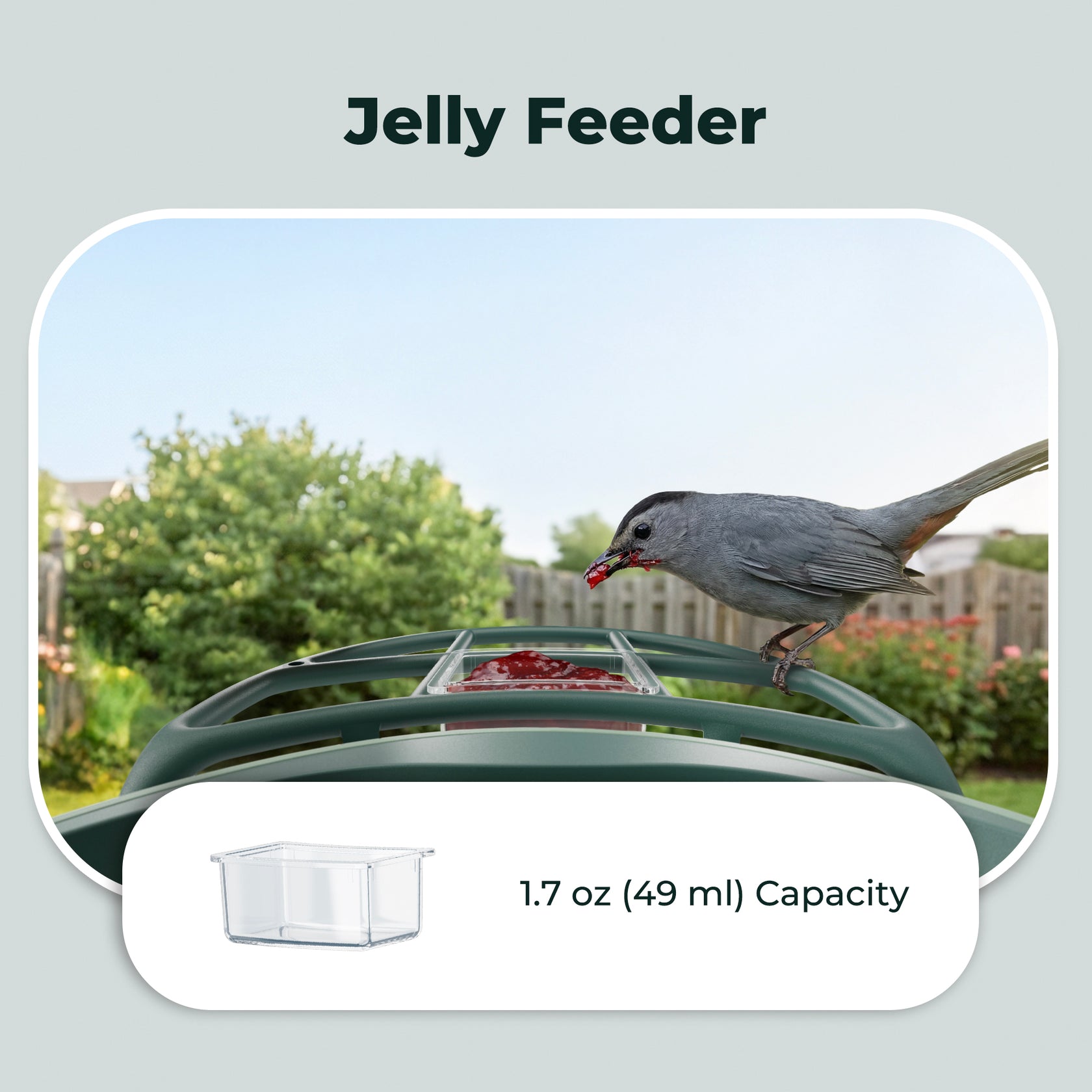 Kiwibit Smart Bird Feeder – Complete DIY Accessory Kit