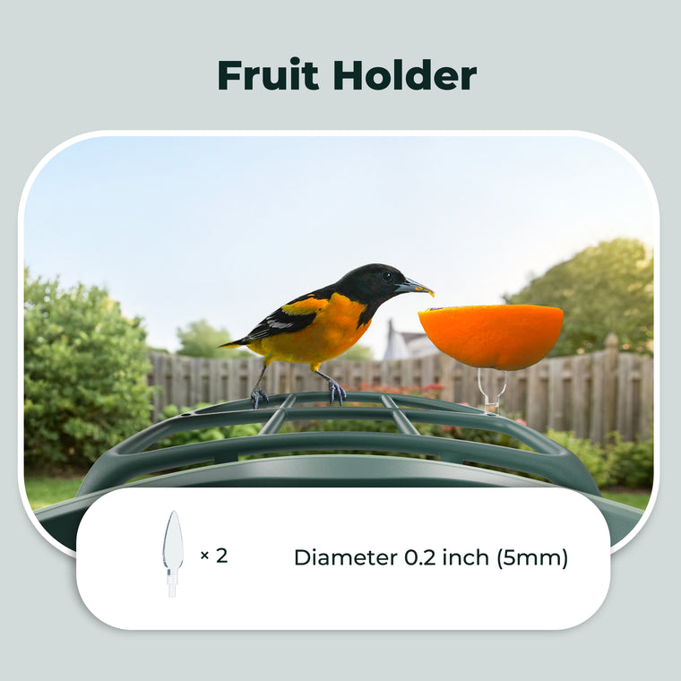 Kiwibit Smart Bird Feeder – Complete DIY Accessory Kit