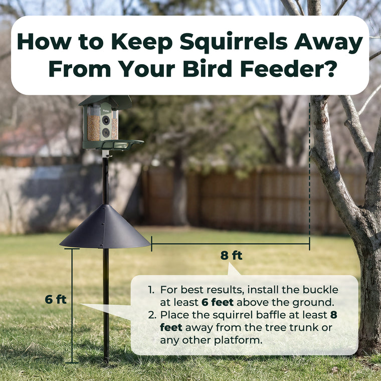 Kiwibit 19" Squirrel Baffle for Bird Feeder Pole