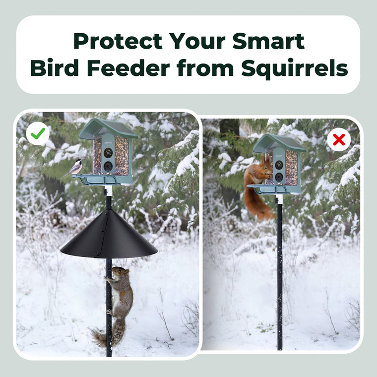 Kiwibit 19" Squirrel Baffle for Bird Feeder Pole