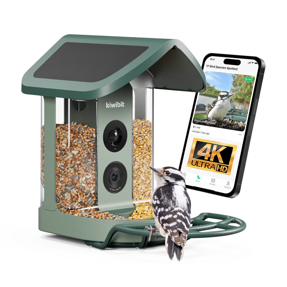 Kiwibit Bird Feeder 2
