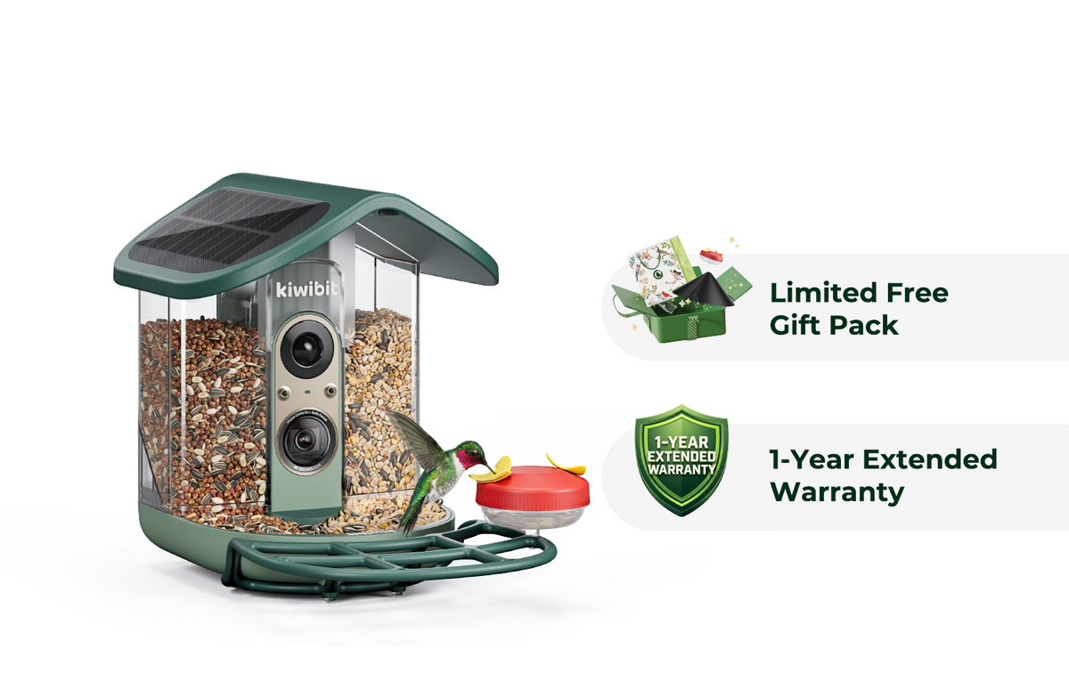 Kiwibit Bird Feeder 2 Pro