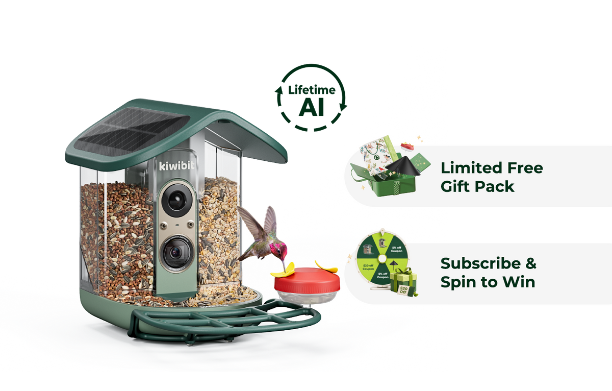 Kiwibit Bird Feeder 2 Pro (Lifetime AI Included)