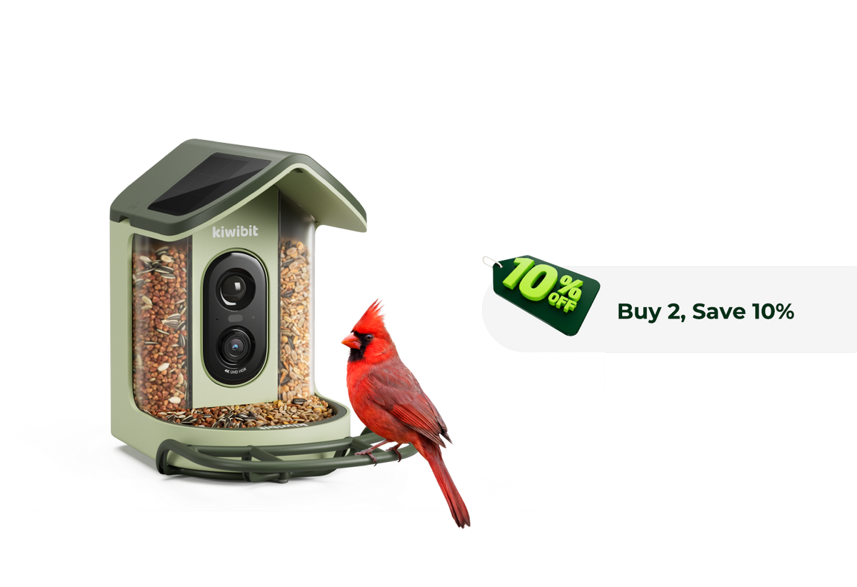 Kiwibit Bird Feeder 2 Mini