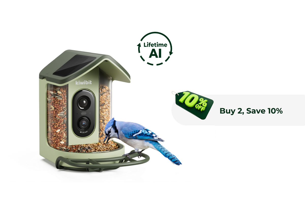 Kiwibit Bird Feeder 2 Mini (Lifetime AI Included)