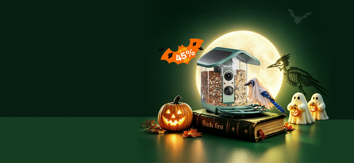 Up to 45% Off