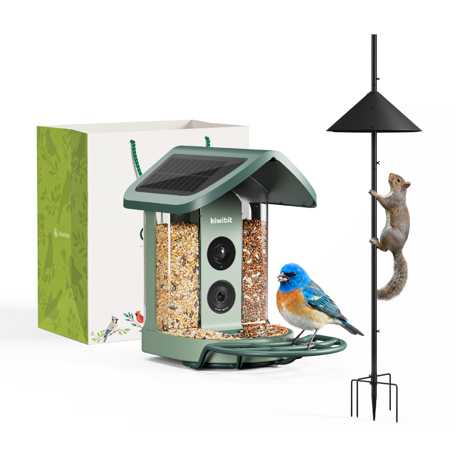 Kiwibit Bird Feeder 2 with Pole & Squirrel Baffle Kit and Gift Packaging Kit