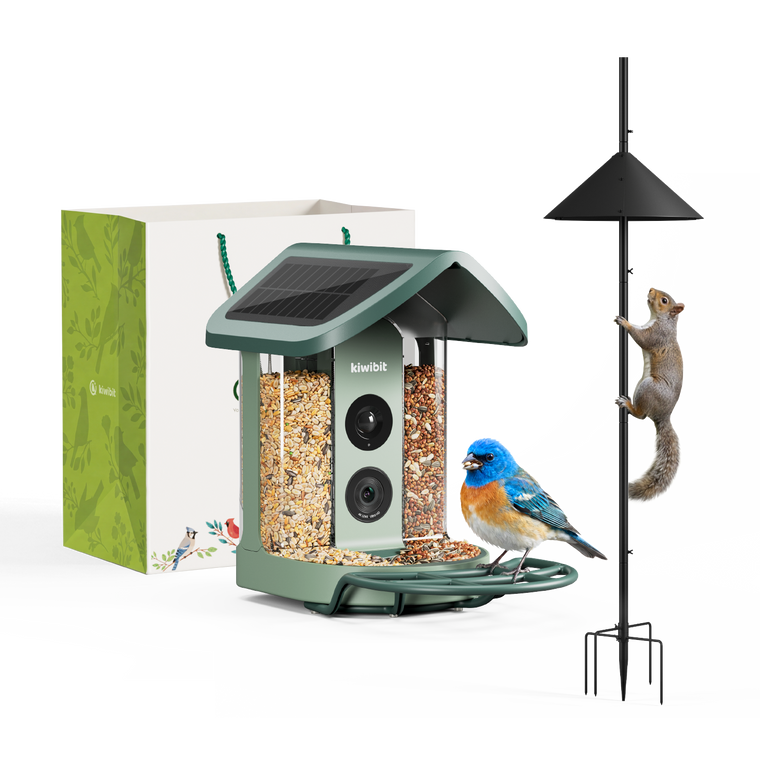 Kiwibit Bird Feeder 2 with Pole & Squirrel Baffle Kit and Gift Packaging Kit
