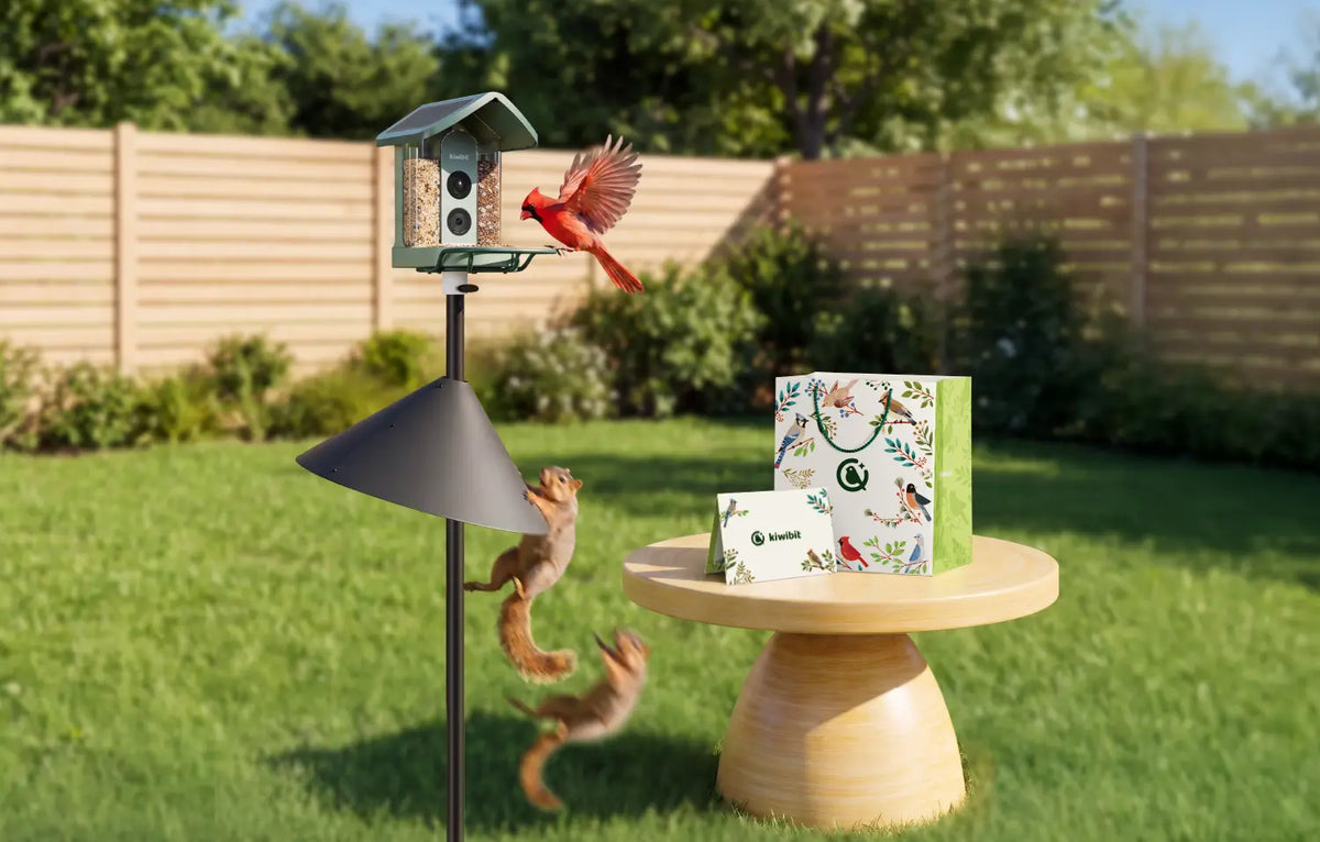 Kiwibit Bird Feeder 2 Squirrel Protection & Gift Kit