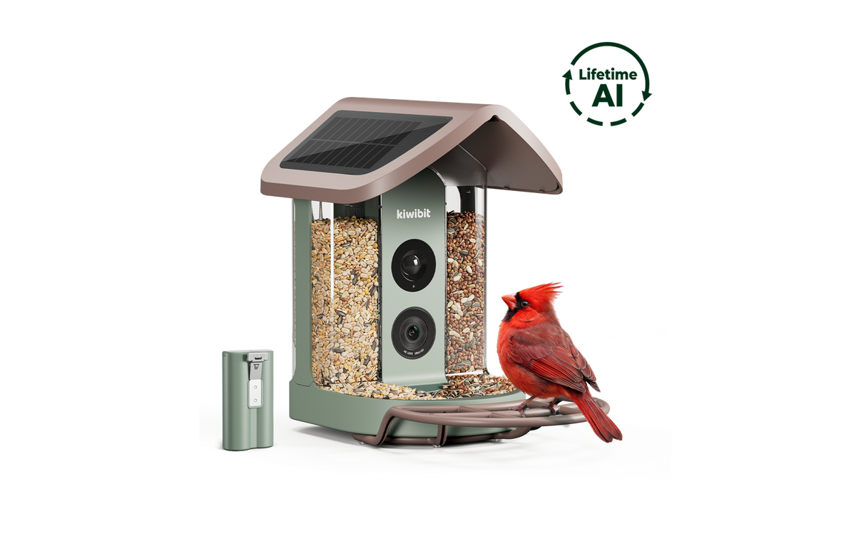 Kiwibit Bird Feeder 2 Power Kit (Lifetime AI Included)