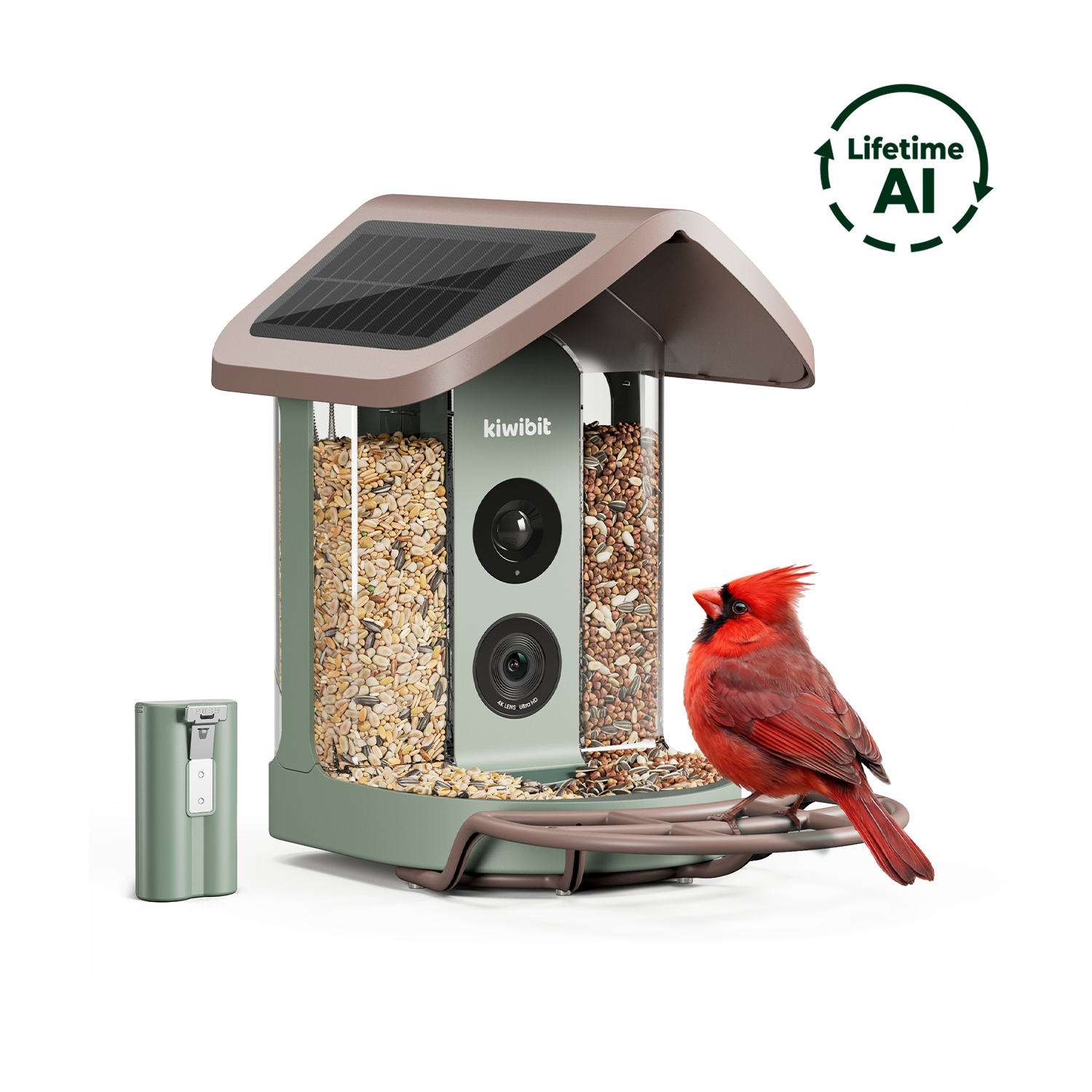 Kiwibit Bird Feeder 2 (Lifetime AI Included) with Replacement Battery Pack
