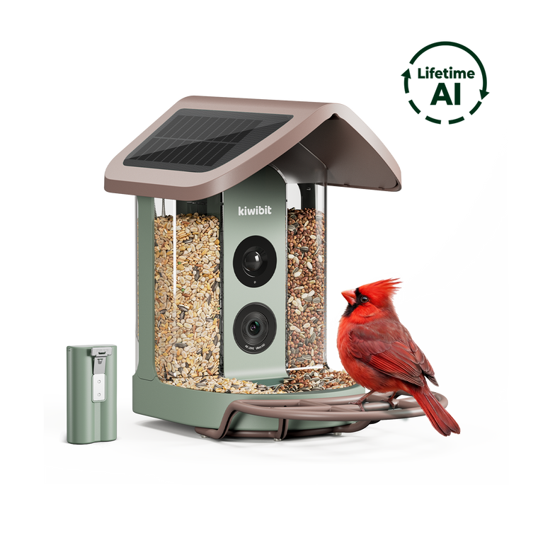 Kiwibit Bird Feeder 2 (Lifetime AI Included) with Replacement Battery Pack