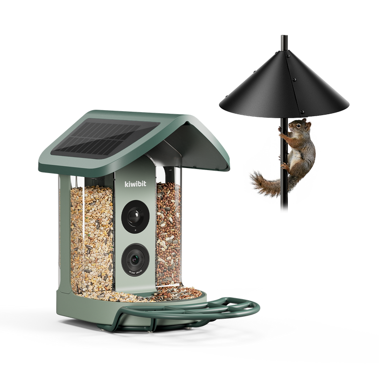 Kiwibit Bird Feeder 2 + Squirrel Baffle