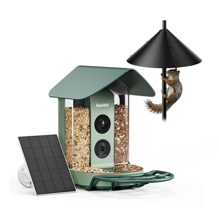 Kiwibit Bird Feeder + Squirrel Baffle