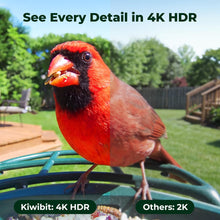 Kiwibit Bird Feeder 4K AI Camera