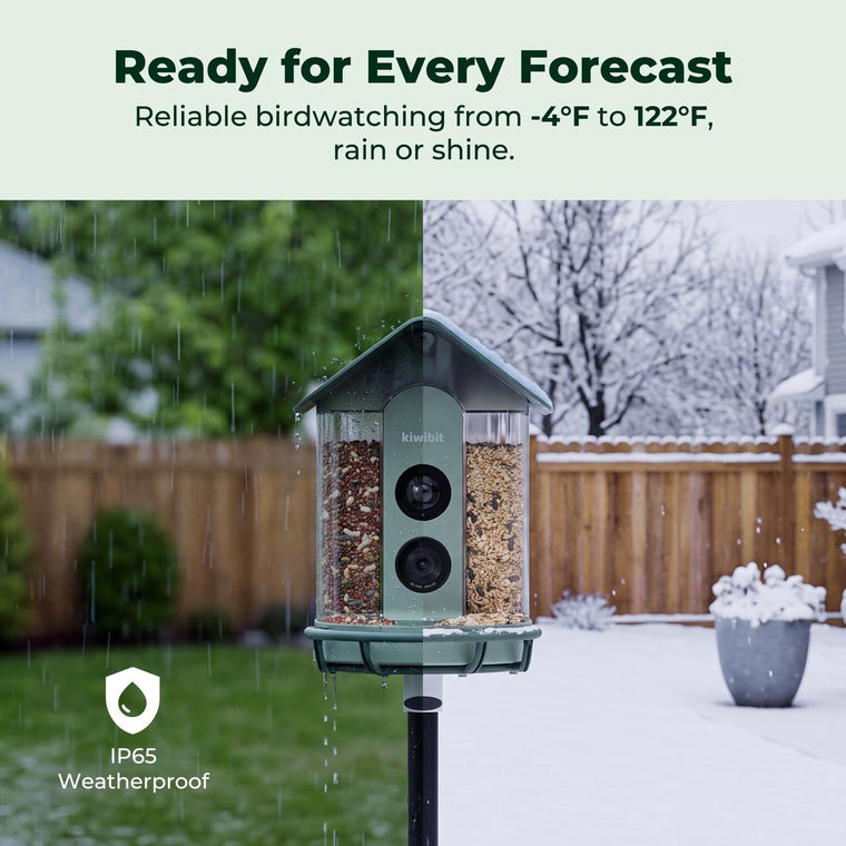 Kiwibit Bird Feeder 4K AI Camera