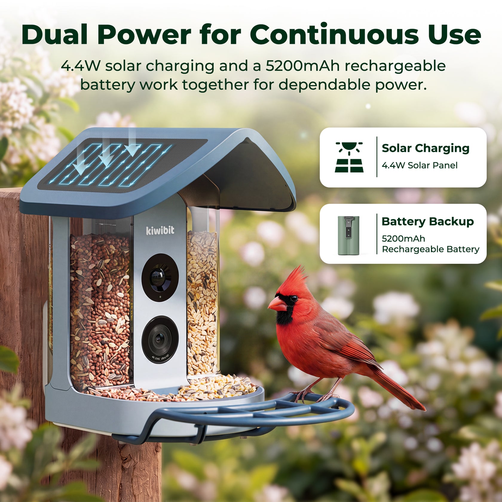 Kiwibit Bird Feeder 2 4K AI Camera with Solar Panel (Blue)