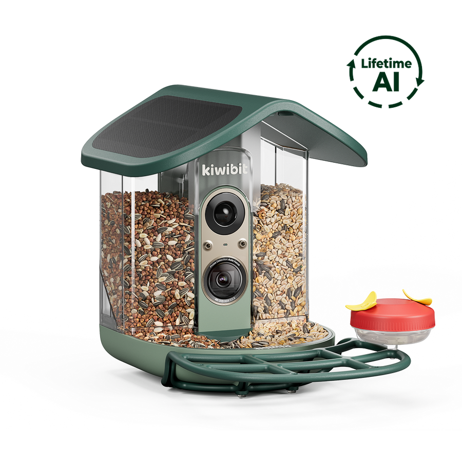 Kiwibit Bird Feeder 2 Pro (Lifetime AI Included)