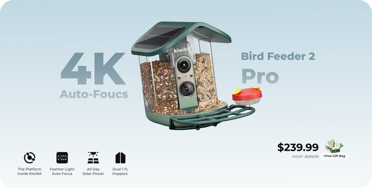 Kiwibit Bird Feeder 2 Pro 4K AI Camera with Solar Panel
