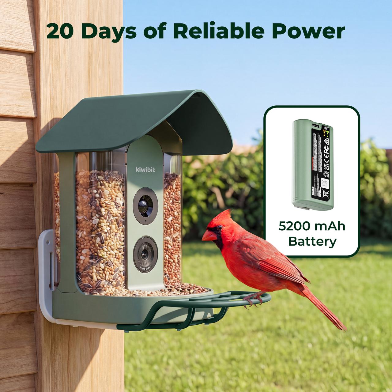 Kiwibit Bird Feeder 4K AI Camera