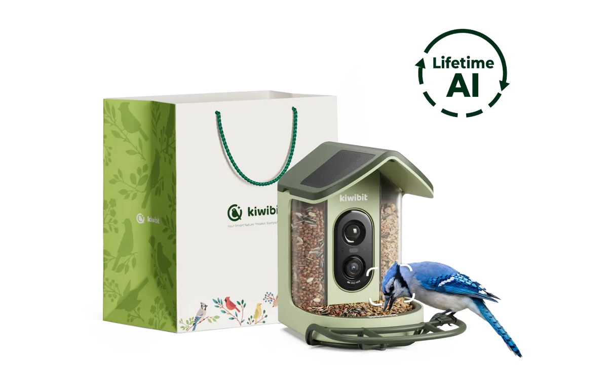 Kiwibit Bird Feeder 2 Mini Gift Kit (Lifetime AI Included)
