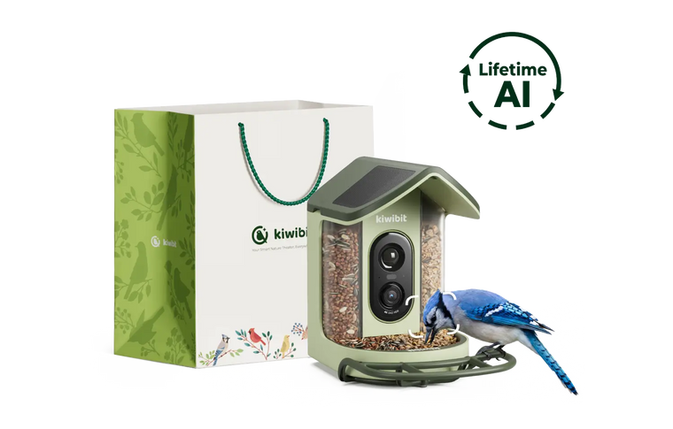 Kiwibit Bird Feeder 2 Mini (Lifetime AI Included) with Gift Packaging Kit