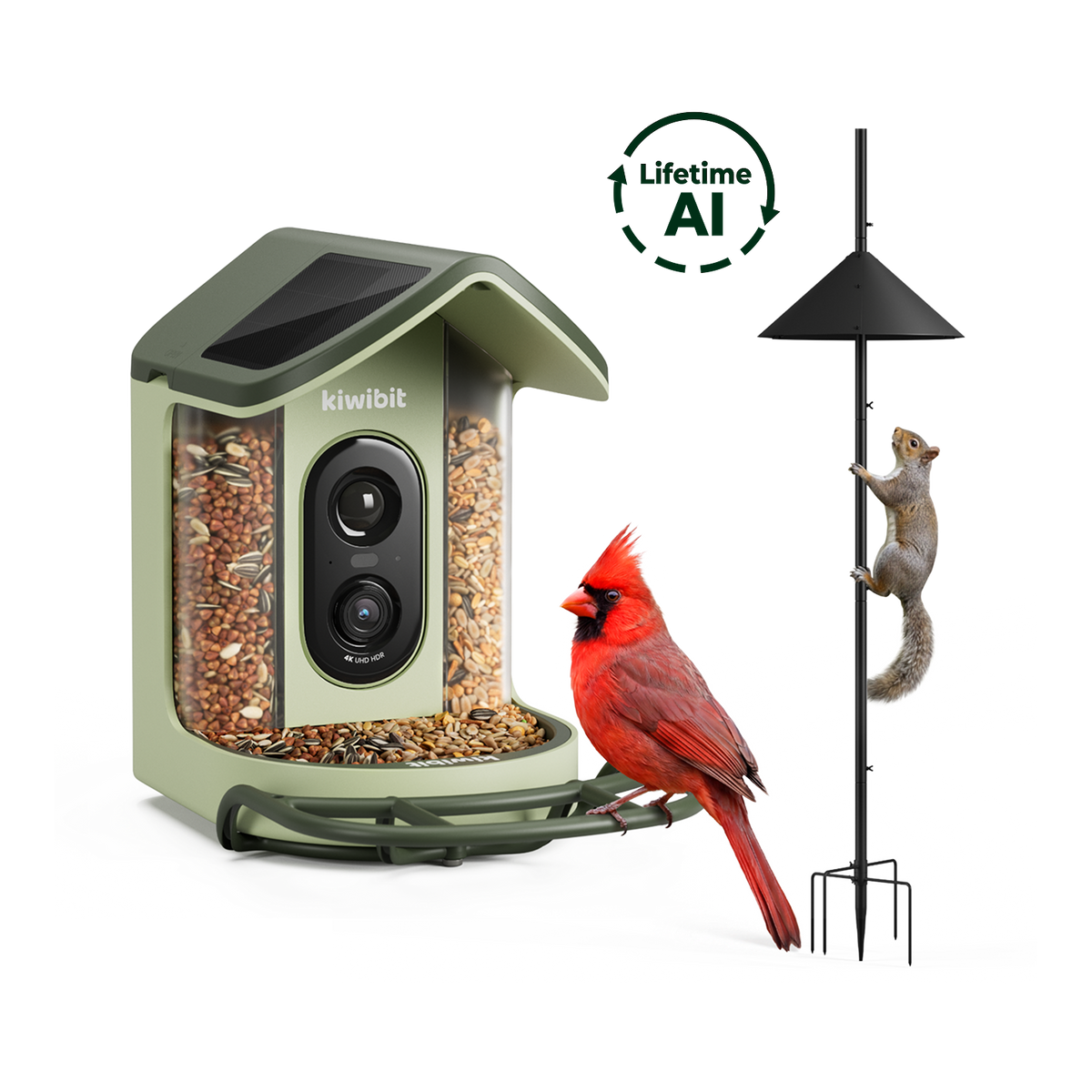 Kiwibit Bird Feeder 2 Mini Squirrel Protection Kit (Lifetime AI Included)