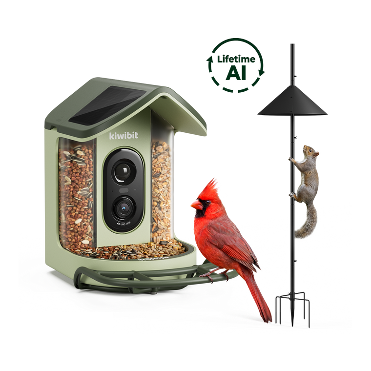 Kiwibit Bird Feeder 2 Mini (Lifetime AI Included) with Pole & Squirrel Baffle Kit