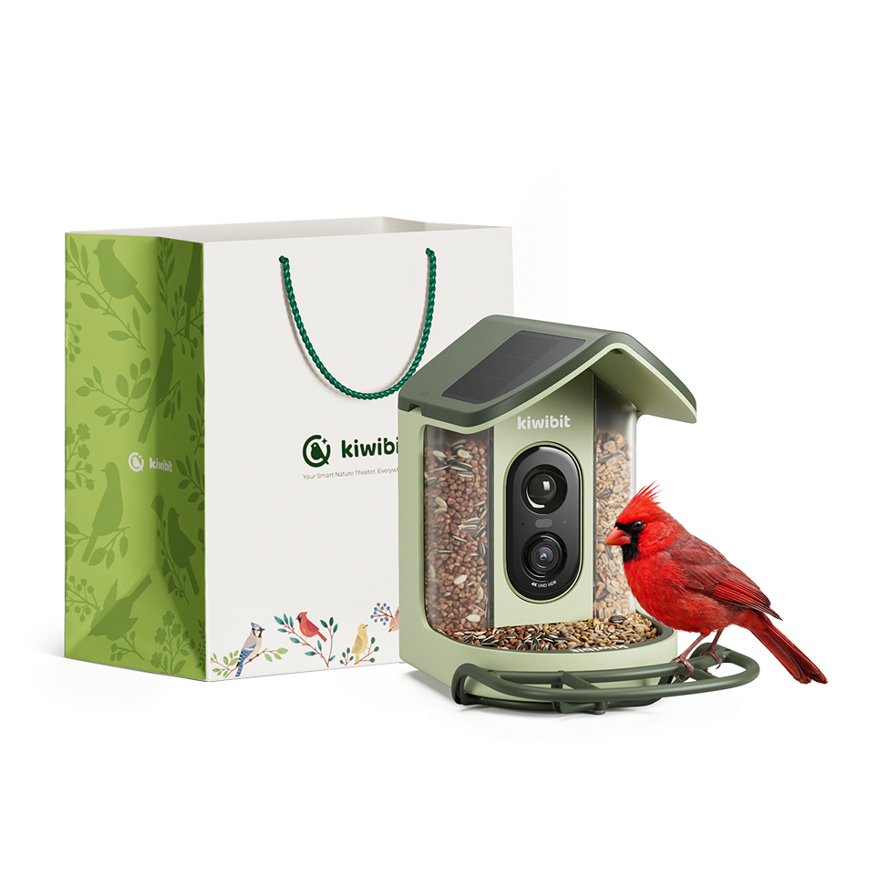 Kiwibit Bird Feeder 2 Mini with Gift Packaging Kit