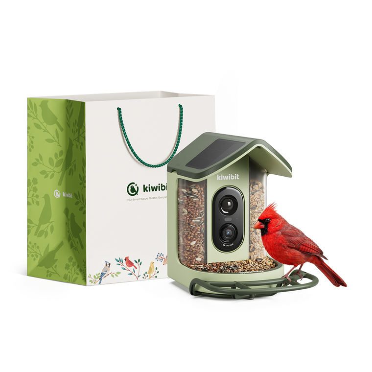 Kiwibit Bird Feeder 2 Mini with Gift Packaging Kit