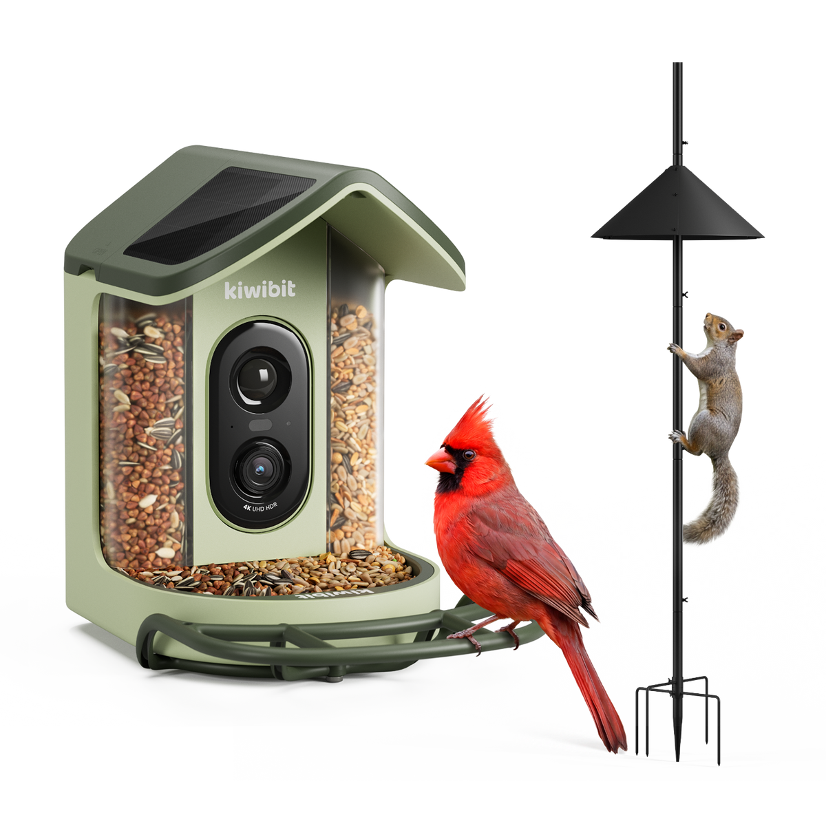 Kiwibit Bird Feeder 2 Mini Squirrel Protection Kit