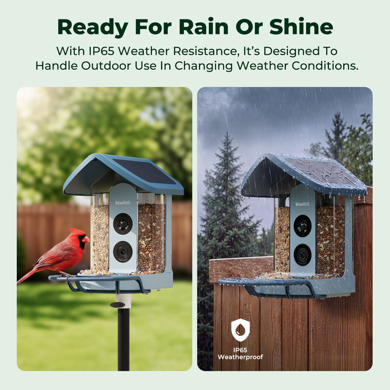 Kiwibit Bird Feeder 2 4K AI Camera with Solar Panel (Blue)