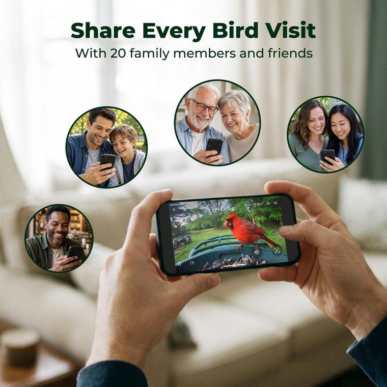 Kiwibit Bird Feeder 4K AI Camera