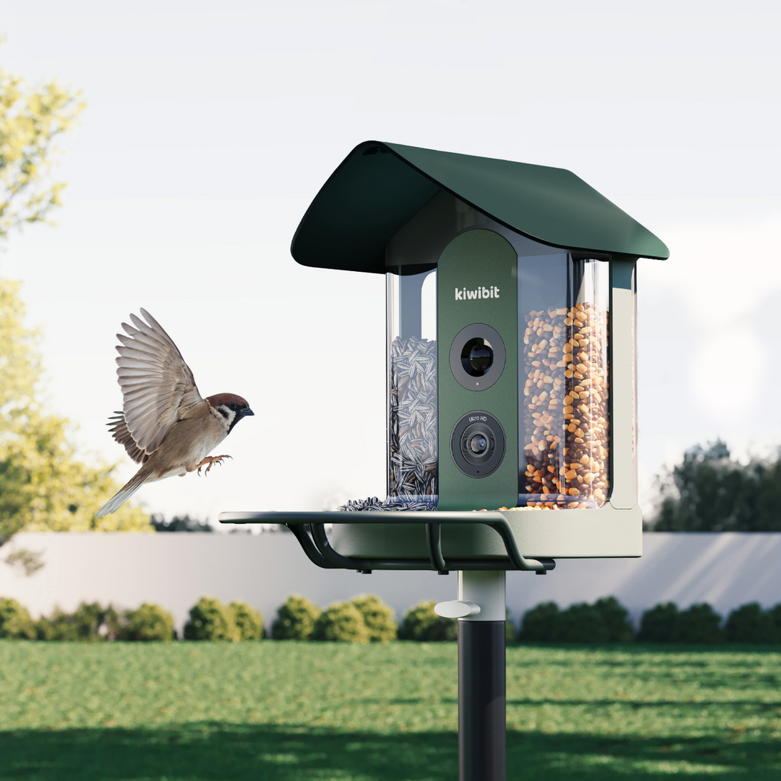 Kiwibit Beako smart bird feeder with camera and bird in flight.
