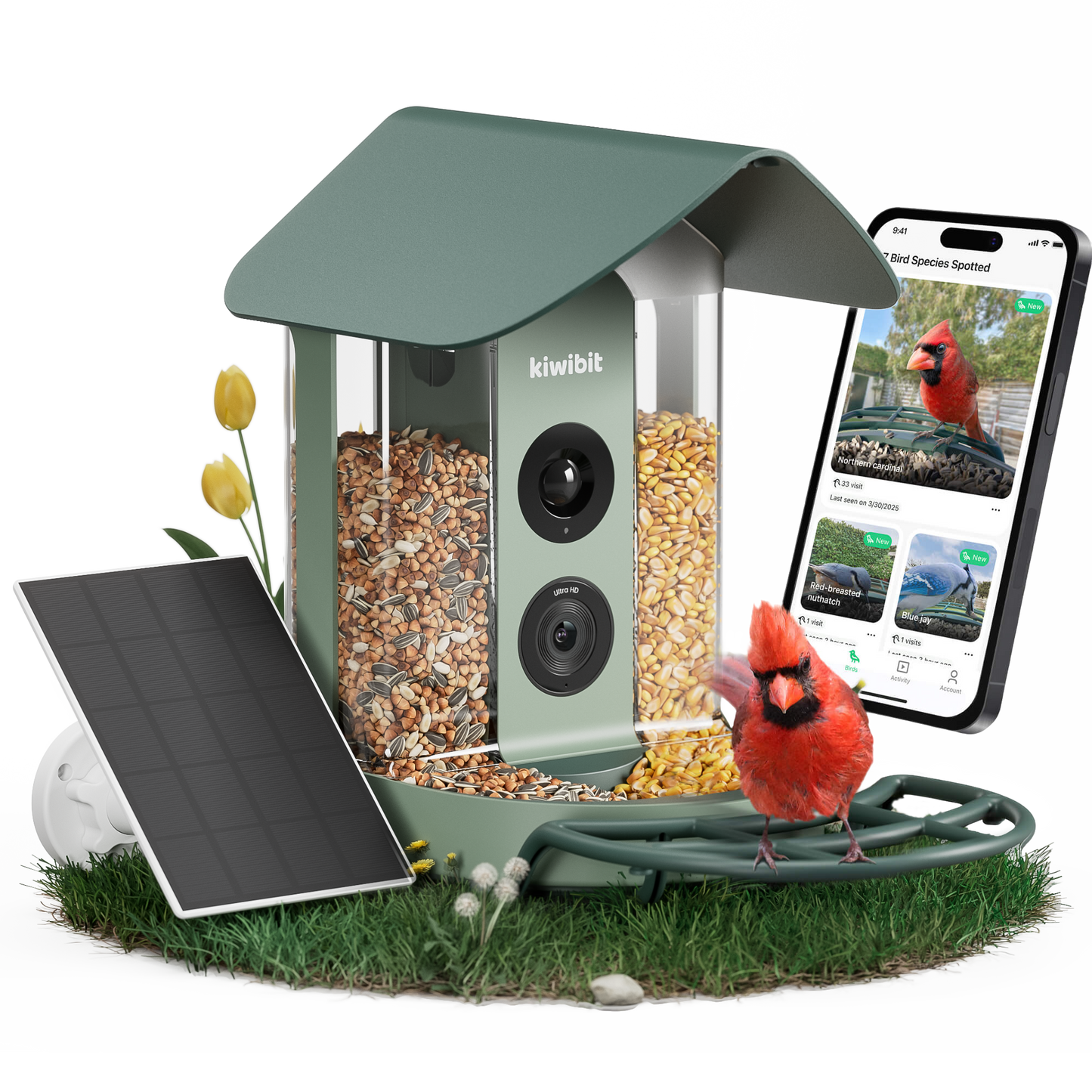 Beako smart bird feeder with solar panel and bird recognition app.