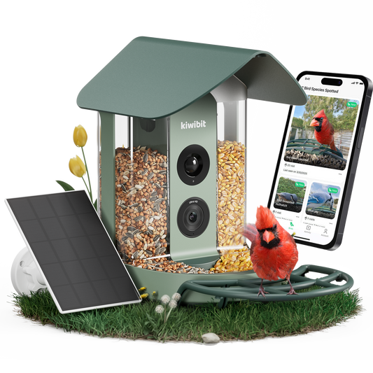 Beako smart bird feeder with solar panel and bird recognition app.