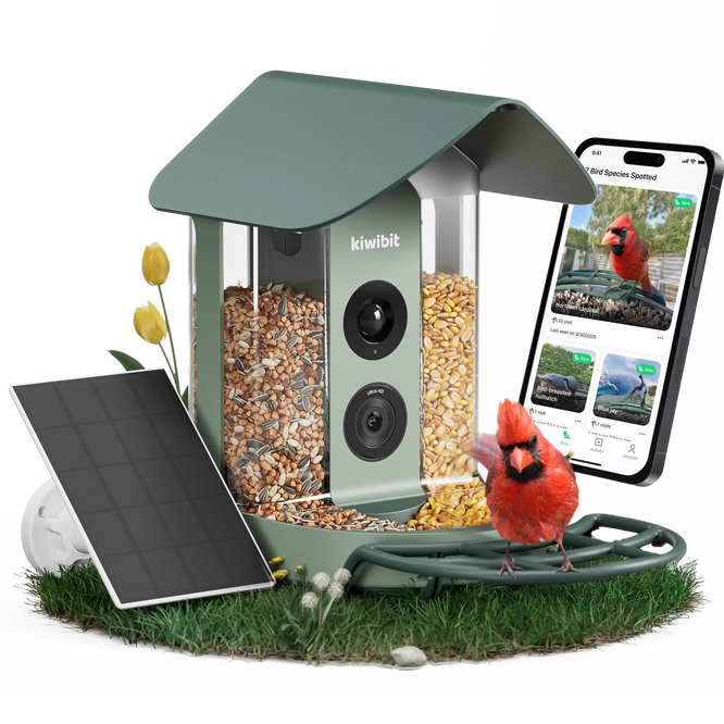 Beako™ 4K Smart Bird Feeder with solar panel
