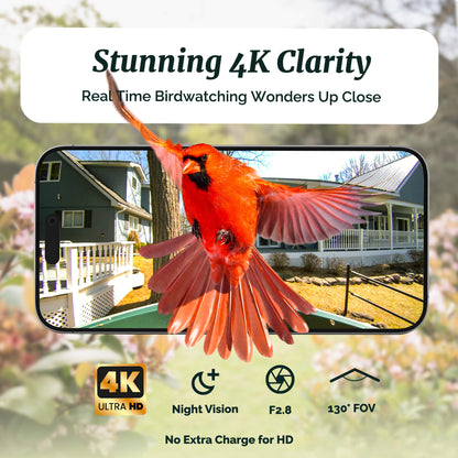 Beako™ Smart Bird Feeder