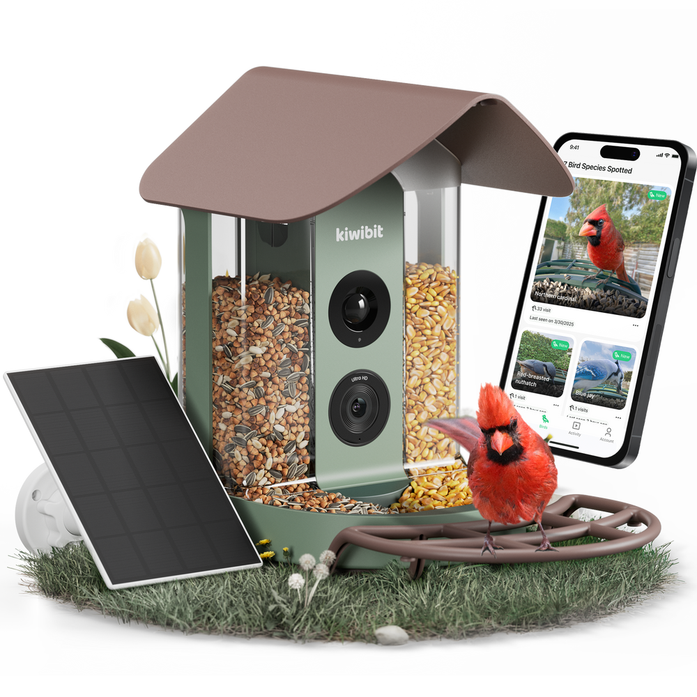 Beako™ 4K Smart Bird Feeder With Camera-Lifetime AI Plan Included,No Subscription Required