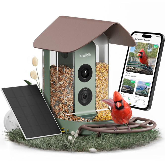 Beako™ Smart Bird Feeder With Camera-Lifetime AI Plan Included