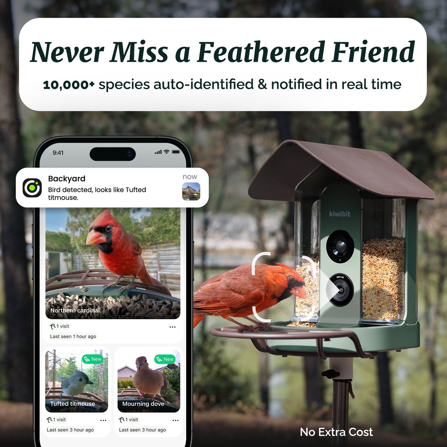Beako™ Smart Bird Feeder With Camera-AI Included